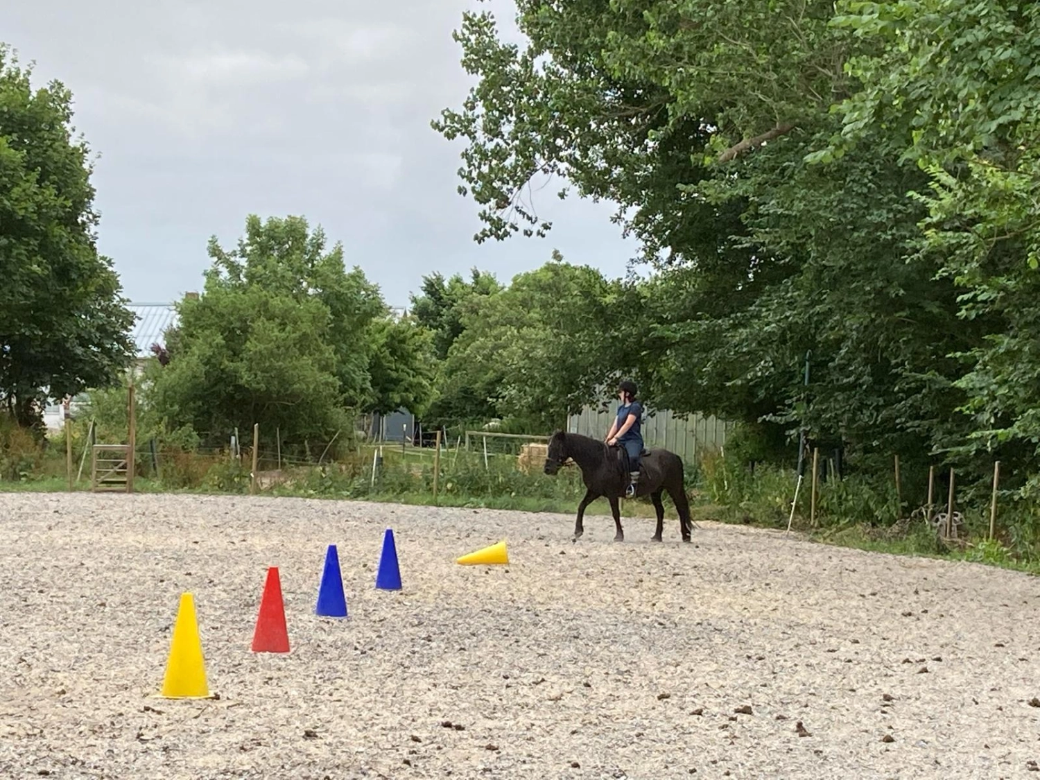 Reitne Ohne Stress, Pferd Fury