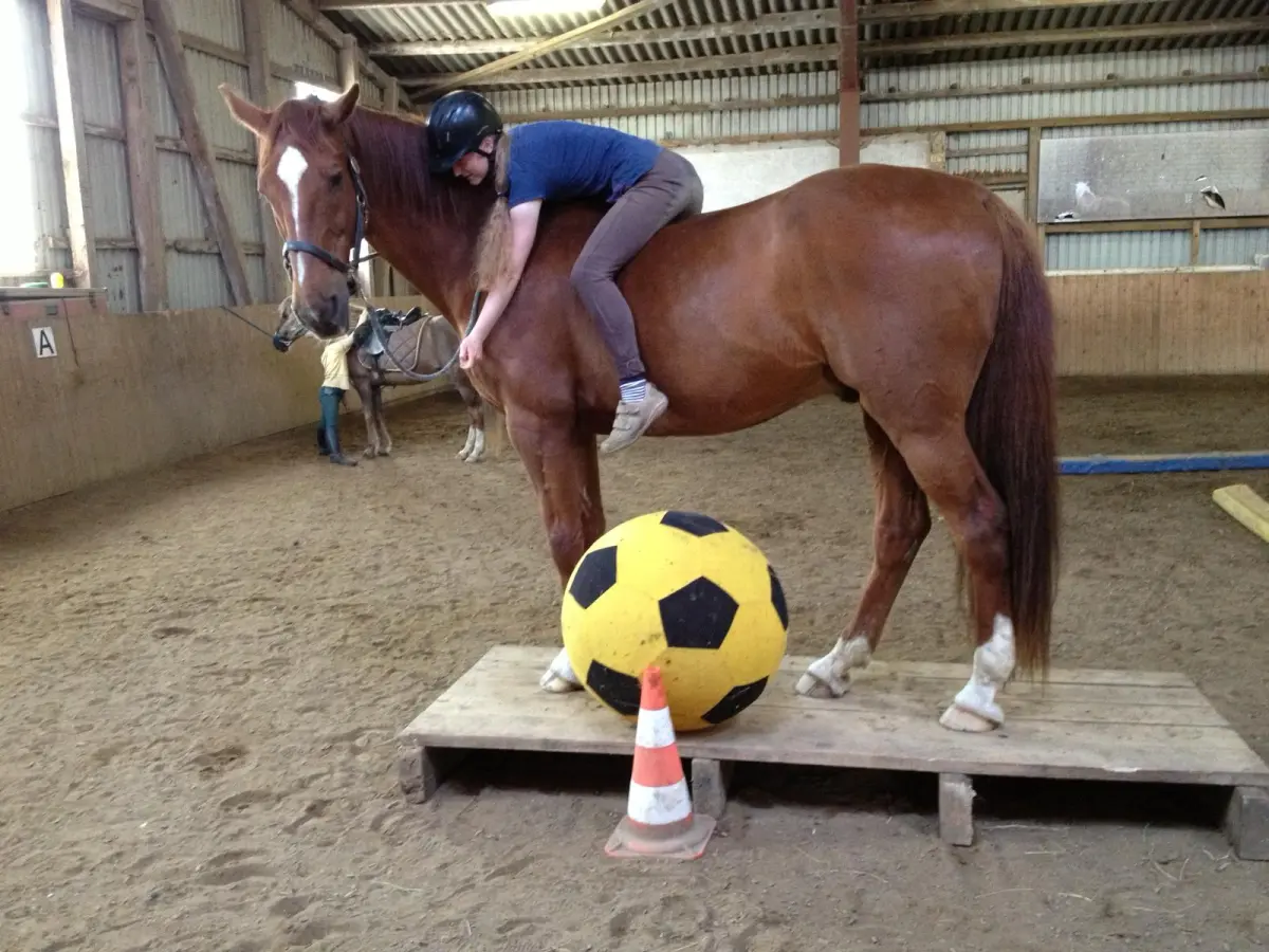 Reitne Ohne Stress, ein Mädchen sitzt auf einem Pferd